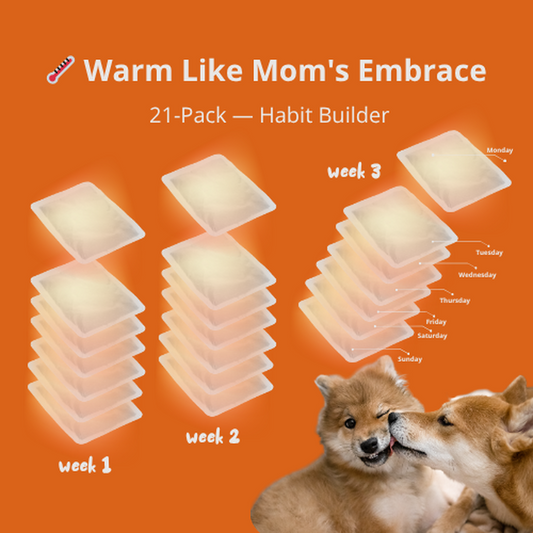 21 Days Heatpack — Habit Builder